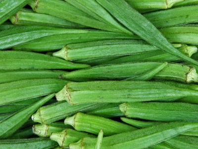 Čerstvá okra (bhindi) na pyaz wali bhindi